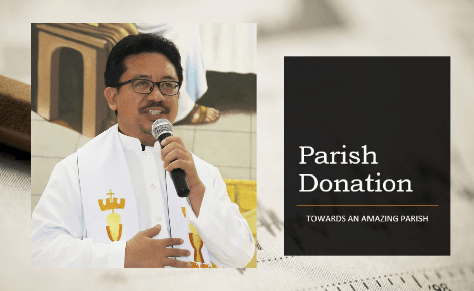The Church wants to be more the ‘inn’ of the Good Samaritan for the sick
