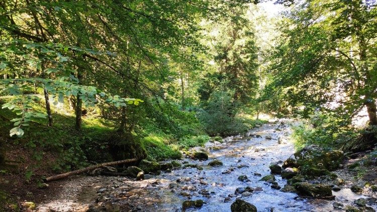 The experiences of Laudato Si’ collected in an e-book