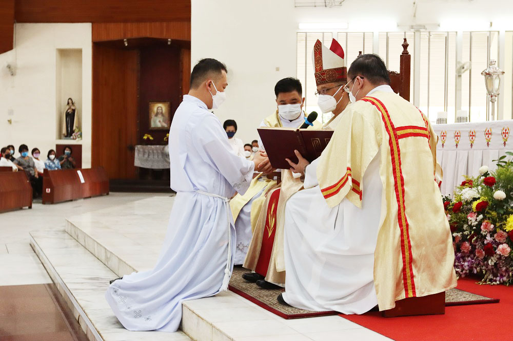 The Church wants to be more the ‘inn’ of the Good Samaritan for the sick