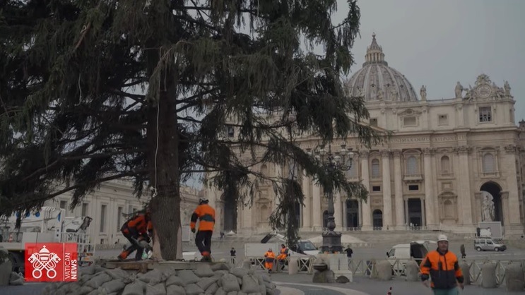 The Church wants to be more the ‘inn’ of the Good Samaritan for the sick