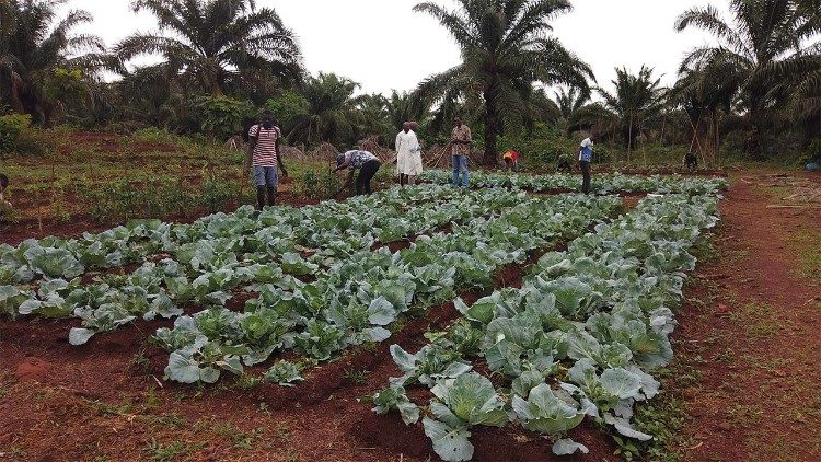 Catholic associations call for fossil fuels divestment