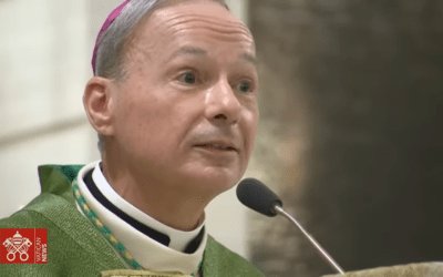 Homily during Sunday Mass for Synod paricipants on retreat