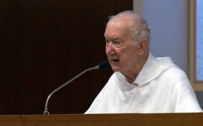 Synod: The Samaritan Woman at the Well – Spiritual Input  by Fr Timothy Radcliffe, OP