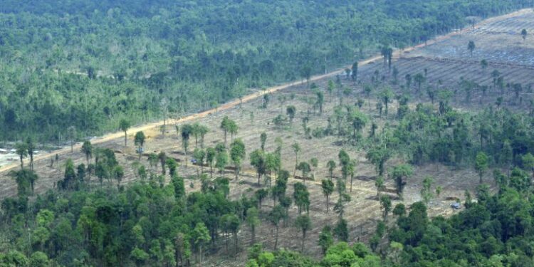 FAO: Asia-Pacific’s biodiversity loss threatens food security, habitats