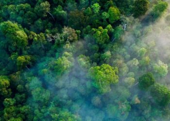 World Environment Day: Focus on desertification and drought