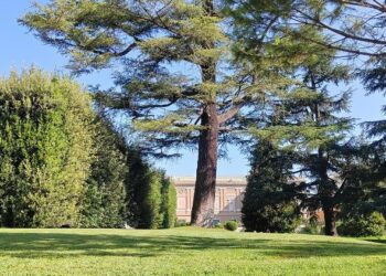 September 1: A celebration of God’s decision to create