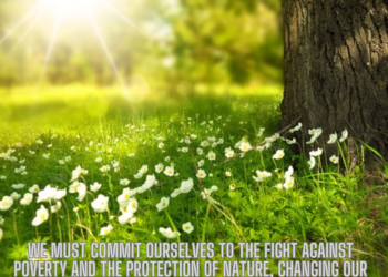 Pope Francis message for the World Day of Prayer for the Care of Creation