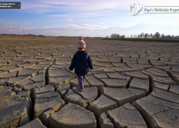 Pope’s September prayer intention: For the cry of the earth