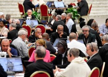 Focus on disabilities, women and climate crisis