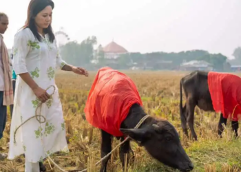 Nepal temple conducts mass animal slaughter, despite outcry