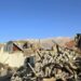 Tibetan holy city of Shigatze struck by deadly earthquake