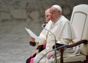 Pope at Audience: We must protect all little ones and never tolerate abuse