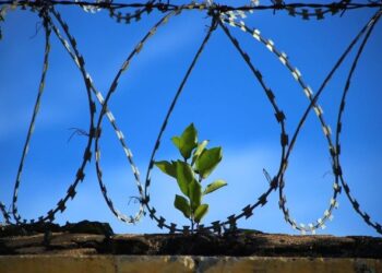 Jubilee 2025: Tangible signs of Hope