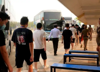 Thai crackdown rescues 215 from Cambodian scam compounds