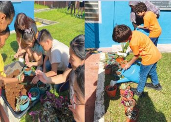 Sensory gardening experience for individuals with autism
