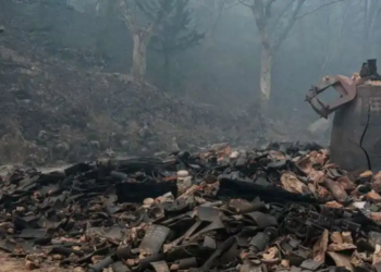 Korean wildfire spreads, Church seeks support for victims