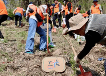 Young Koreans plant trees to prepare for World Youth Day