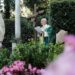 Pope at Mass for Care of Creation: Ecological crisis requires contemplative gaze