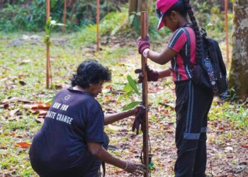 A green tribute in honour of Pope Francis