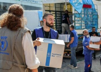 UN reports record number of aid worker deaths in 2024