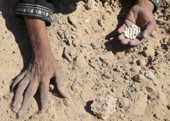 Starvation deaths in Gaza rise to 197