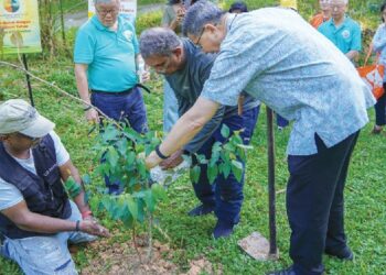 Mass in nature inspires care for creation