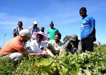Agroecology as a path to justice: ‘How we treat the Earth is how we treat each other’