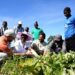 Agroecology as a path to justice: ‘How we treat the Earth is how we treat each other’