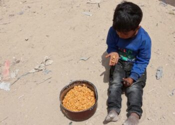 673 Million people experienced hunger in 2024