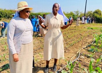Catholic sisters are ‘hands and presence’ of Christ in the world