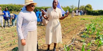 Catholic sisters are ‘hands and presence’ of Christ in the world