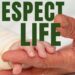 Has Church’s pro-life activities ignored life after birth?