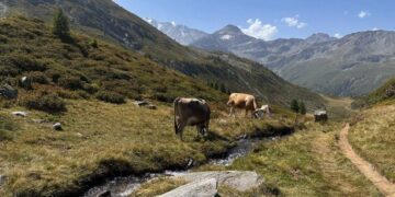 Restarting the Economy: The Earth’s right to rest