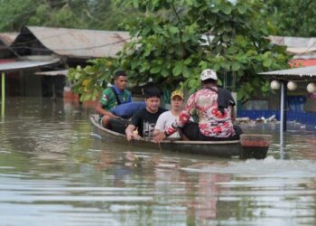 Cardinal David at COP30: We must not make it so easy to abuse nature