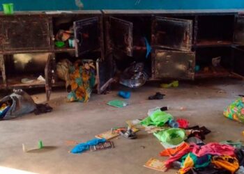 Pope Leo calls for the release of hostages in Nigeria and Cameroon