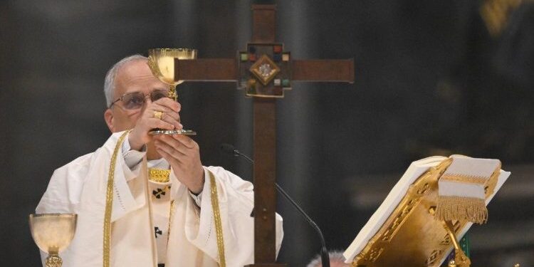 Pope Leo XIV: Priesthood is ‘total gift’