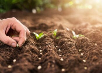 Restarting the Economy: (Still) time to rest – the Jubilee Year as the world’s ‘Sabbath’