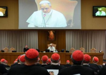 Pope Leo’s first Extraordinary Consistory set for January 7-8