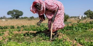IFAD President: Agriculture can be a tool for peace and hope