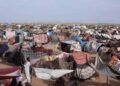Children in Darfur on the brink between abandonment and hope