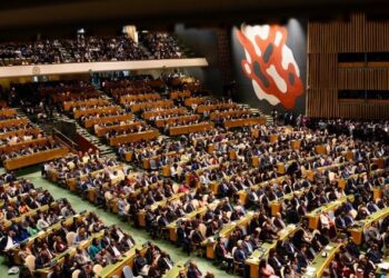 Holy See on surrogacy: Always protect women and children