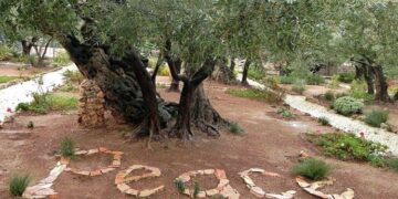 Support hope by giving to Christians in the Holy Land