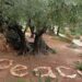 Support hope by giving to Christians in the Holy Land