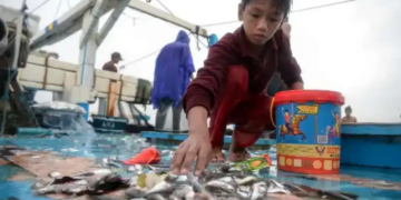 If we could only learn