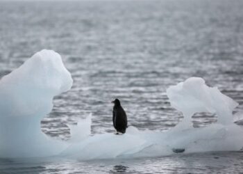 What indigenous communities teach us about climate change