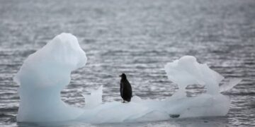 What indigenous communities teach us about climate change