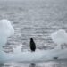 What indigenous communities teach us about climate change