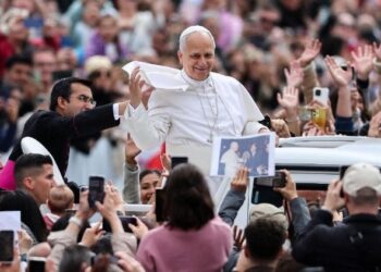 Pope at Audience: ‘The Church has mission to speak out against all that mortifies life’