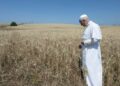 Holy See and Italy renewable energy agreement enters into force