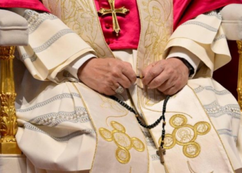 Pope Leo’s over 400 appeals for peace during first year of pontificate